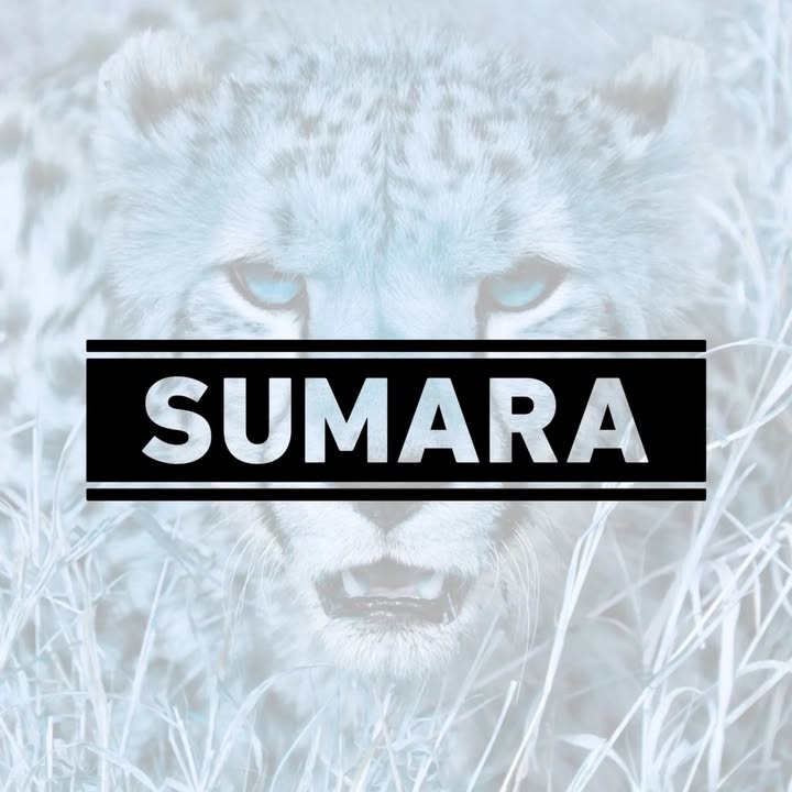Sumara Sp. z o.o.